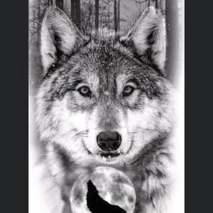 Meet your Posher, Kathie